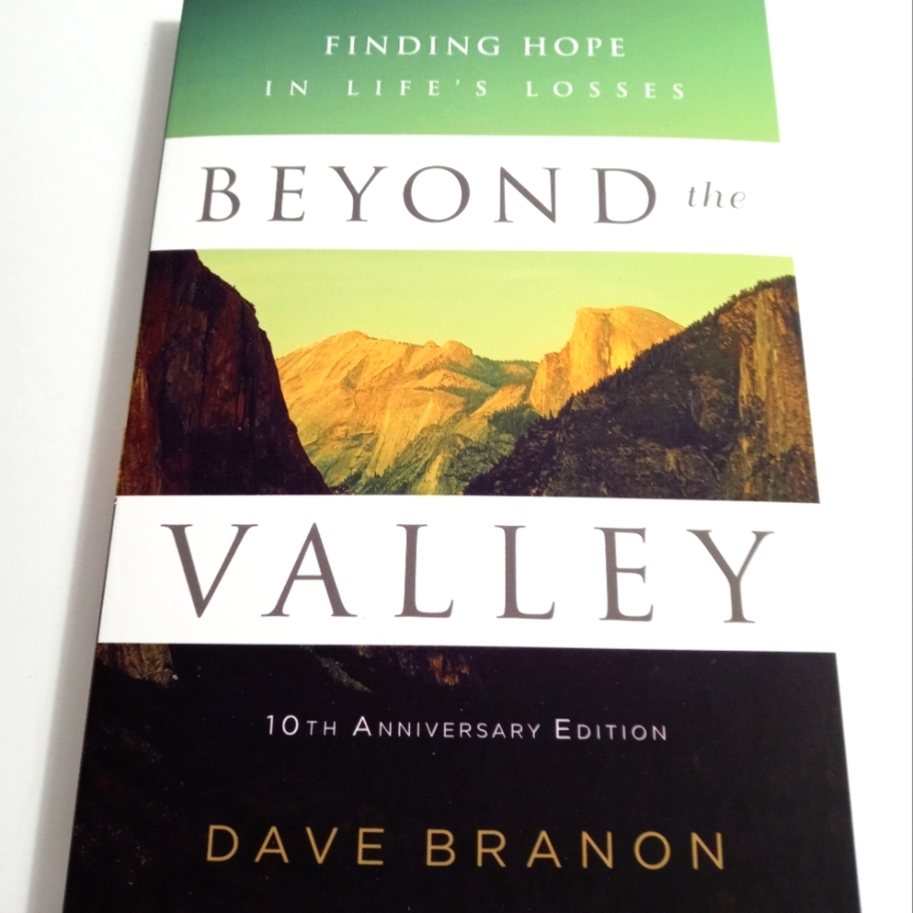 🏖 Beyond the Valley: Finding Hope In Lifes Losses by Dave Branon NIB